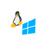 linux-windows-cw-min